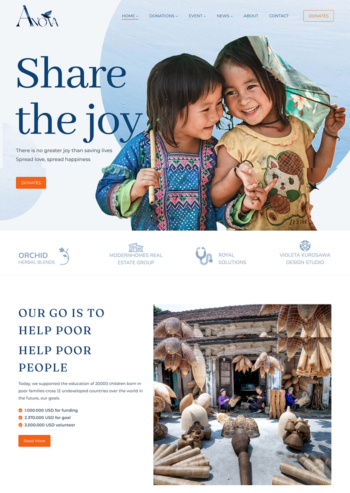 NGO WordPress Theme - Anova