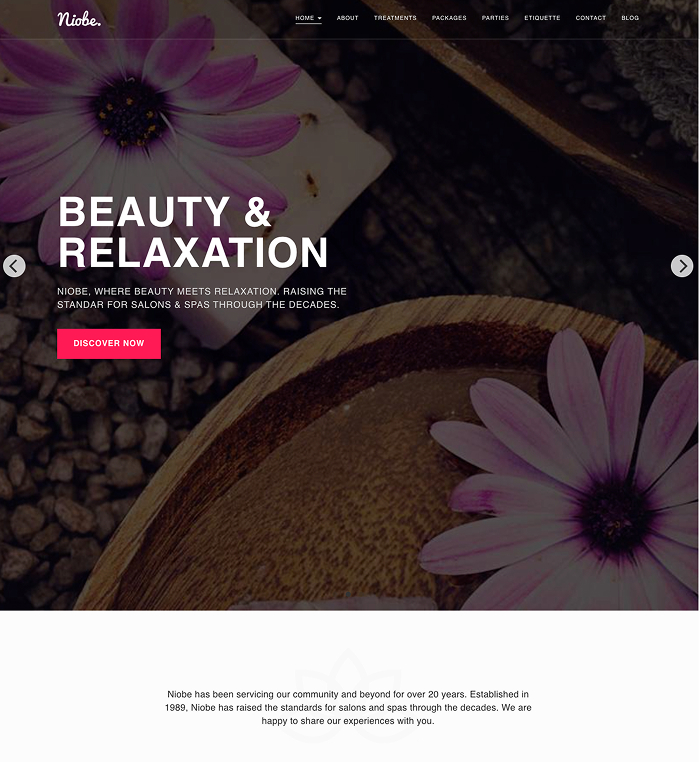 Spa WordPress Theme - Niobe